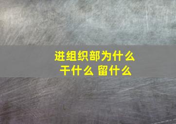 进组织部为什么 干什么 留什么